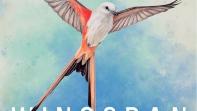 Wingspan