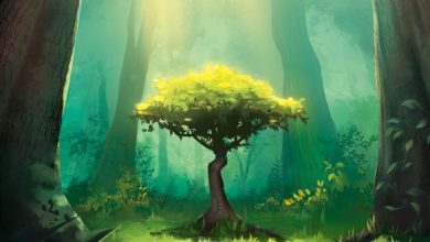 photosynthesis