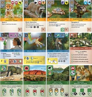 Ark.Nova_.Boardgame
