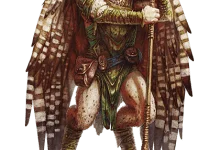 Aarakocra